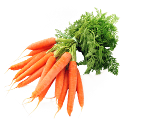 carrot image