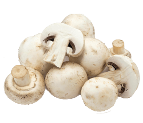 mushrooms image